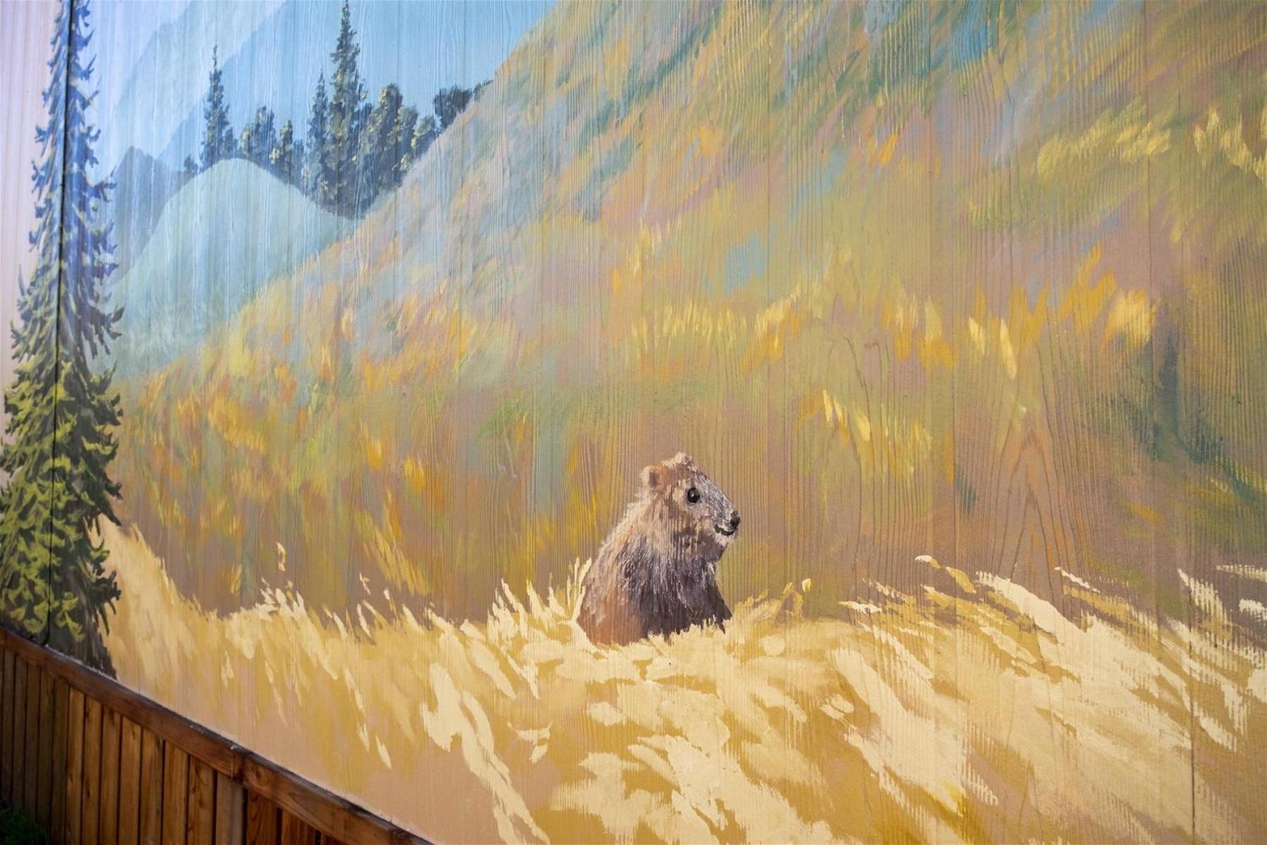 Woodchuck Flat Villa Fort Bragg Exteriör bild